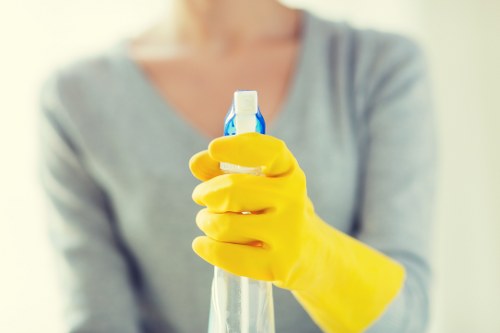 Professional carpet cleaners working in a Hampton Wick home