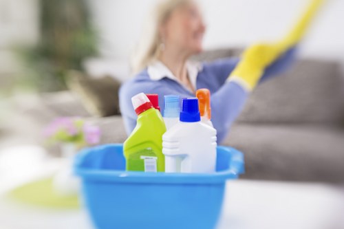 Manager assessing a service issue in the cleaning process