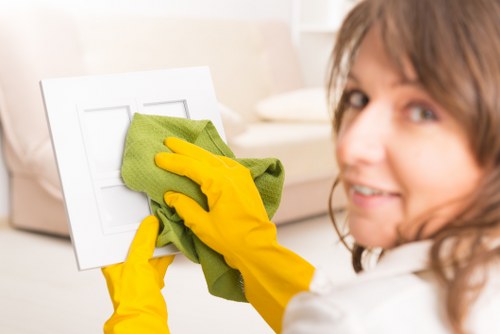 Deep steam cleaning removing allergens from carpet fibres